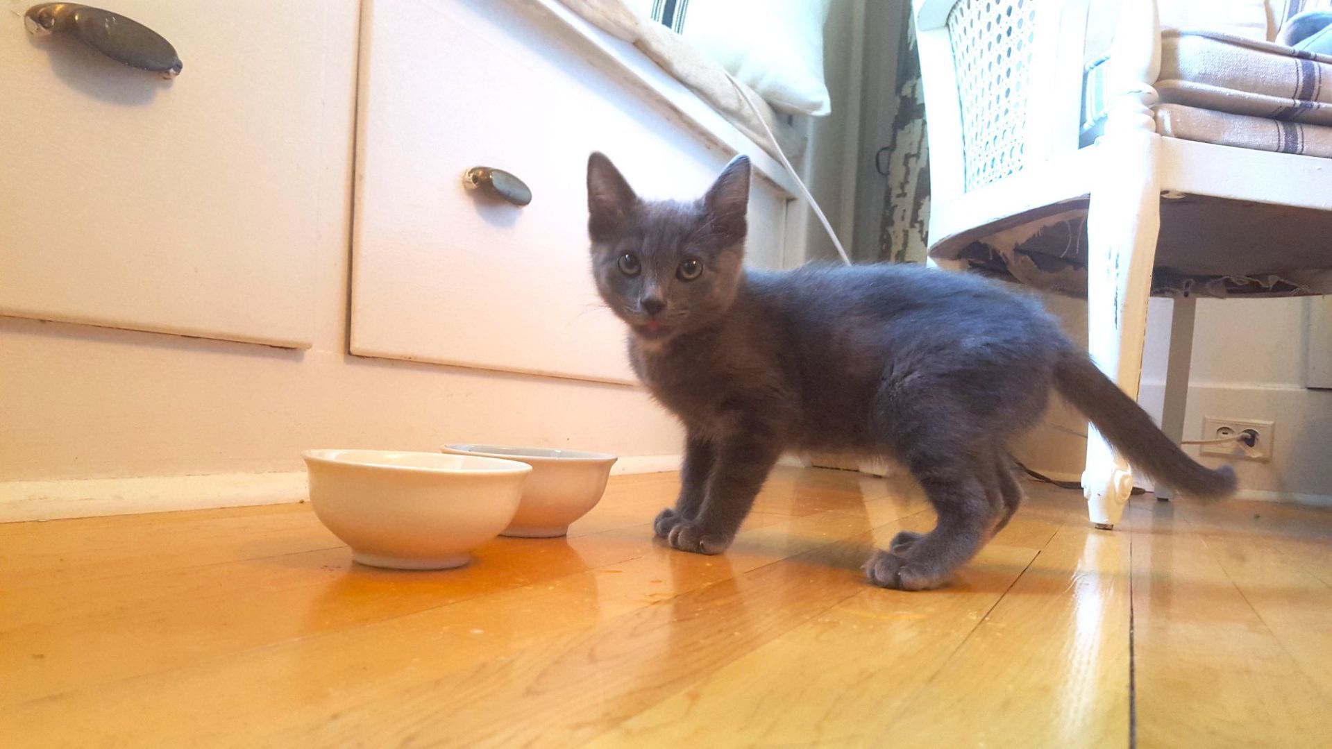Kindle's first day at Abrams house